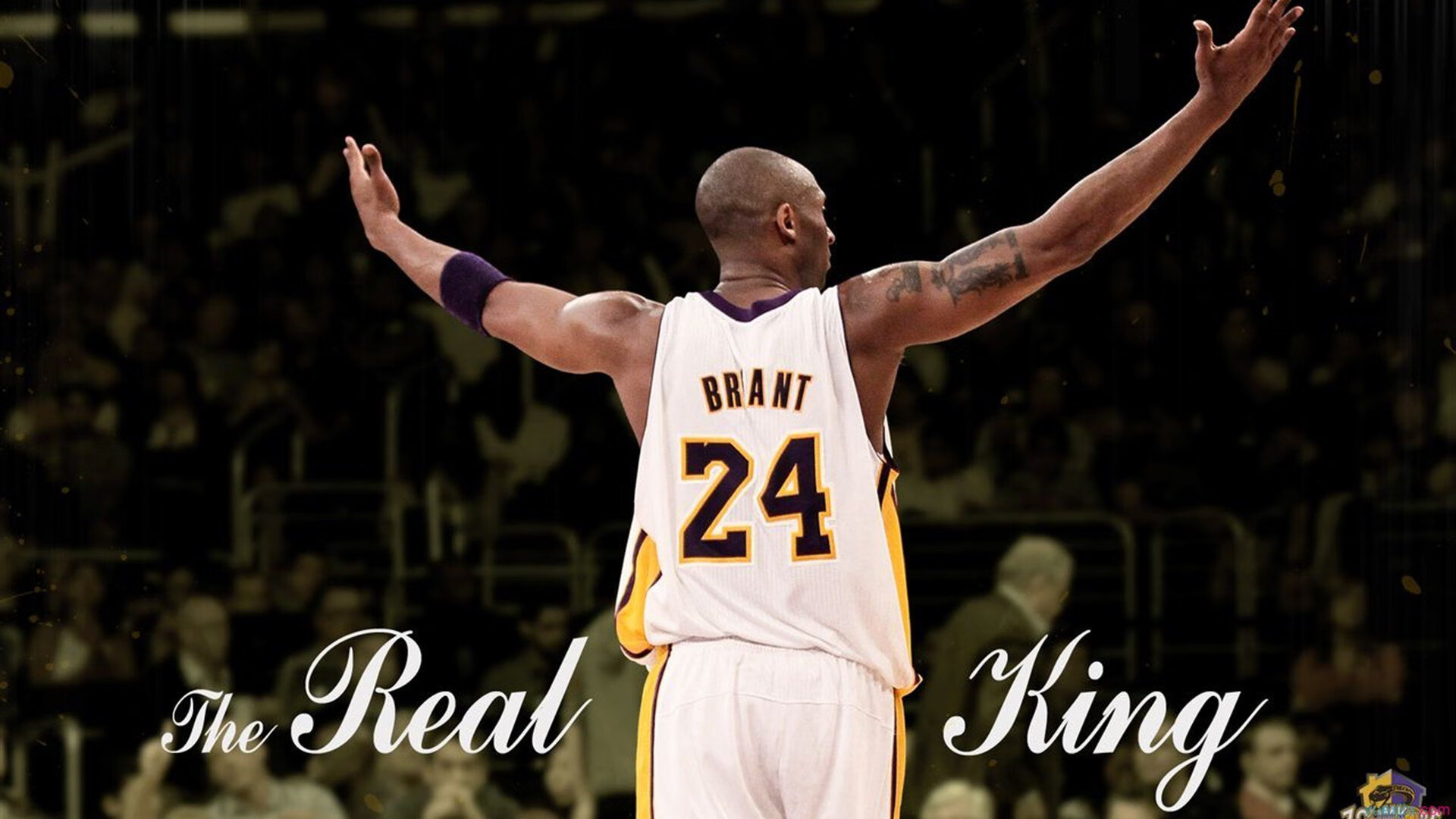 西决生死战焦点战，国王狂胜独行侠，改写历史的一夜